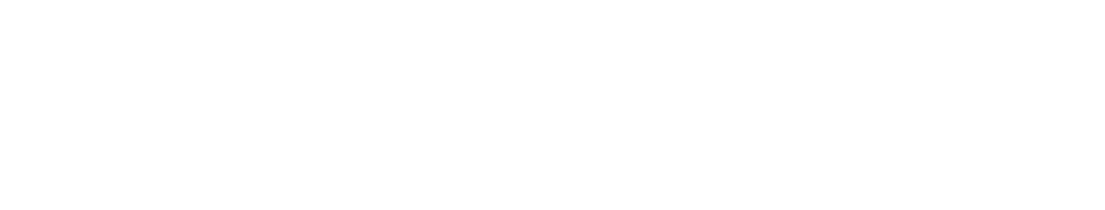 Newtech Store